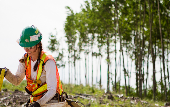 A worker wearing a hard hat and reflective vest while carrying planting gear in a forest