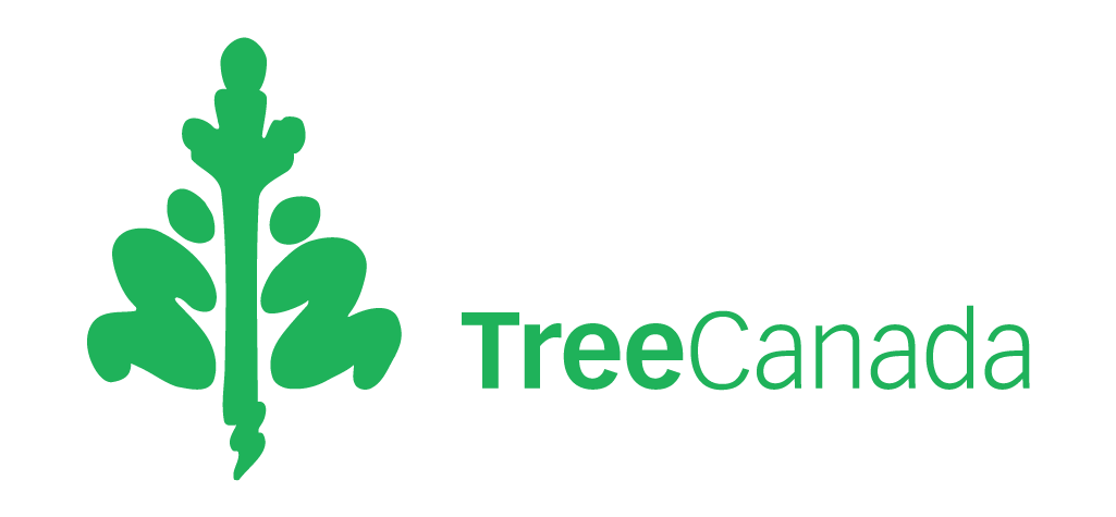 Tree Canada Logo