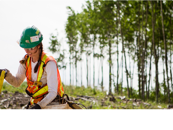 A worker wearing a hard hat and reflective vest while carrying planting gear in a forest